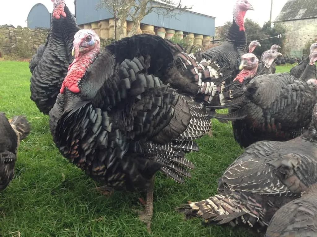 It's that time of year again!